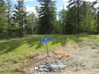 Photo 5: 135 Meadow Ponds Drive: Rural Clearwater County Land for sale : MLS®# A1021062