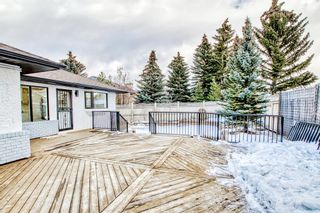 Photo 39: 77 Country Hills Close NW in Calgary: Country Hills Detached for sale : MLS®# A2024041