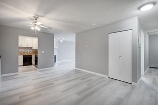 Photo 9: 406 333 Garry Crescent NE in Calgary: Greenview Apartment for sale : MLS®# A2024776