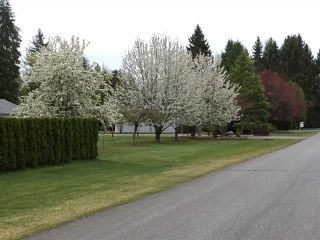 Photo 38: 4884 246A Street in Langley: Salmon River House for sale : MLS®# R2535071