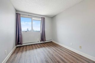 Photo 11: 7 216 Village Terrace SW in Calgary: Patterson Apartment for sale : MLS®# A2129001