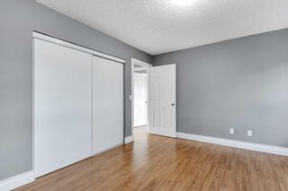 Photo 16: 84 84 Erin Woods Court SE in Calgary: Erin Woods Apartment for sale : MLS®# A2105482
