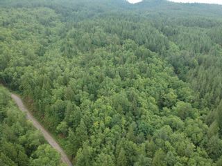Photo 1: 36 TAGGART Road in Abbotsford: Sumas Mountain Land for sale : MLS®# R2769440