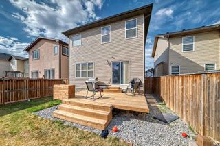 Photo 42: 50 Skyview Shores Crescent NE in Calgary: Skyview Ranch Detached for sale : MLS®# A2125037
