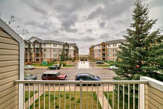 Photo 19: 214 2000 Applevillage Court SE in Calgary: Applewood Park Apartment for sale : MLS®# A2130391