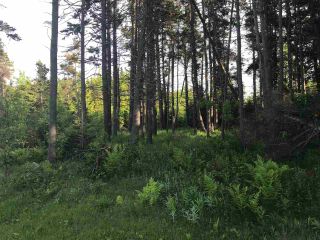 Photo 7: 1659 Fox Harbour Road in Fox Harbour: 102N-North Of Hwy 104 Vacant Land for sale (Northern Region)  : MLS®# 202118499