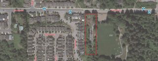 Photo 2: 24392 104 Avenue in Maple Ridge: Albion Land for sale : MLS®# R2793701