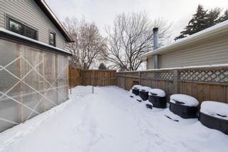 Photo 44: 1927 Pinetree Crescent NE in Calgary: Pineridge Detached for sale : MLS®# A2031559