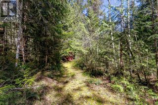 Photo 10: Lot 12 Mountain Rd in Duncan: Vacant Land for sale : MLS®# 959360