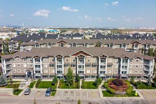 Photo 33: 4207 115 Prestwick Villas SE in Calgary: McKenzie Towne Apartment for sale : MLS®# A2076074