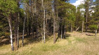 Photo 4: 5;5;23;12;SE - Lot #2 in Rural Rocky View County: Rural Rocky View MD Land for sale : MLS®# C4185892
