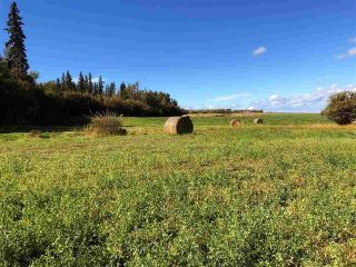 Photo 5: LOT 8 GOLF COURSE Road in Charlie Lake: Lakeshore Land for sale (Fort St. John)  : MLS®# R2828702