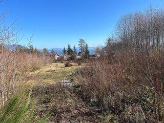 Photo 3: 1182 Third Ave in Ucluelet: PA Salmon Beach Land for sale (Port Alberni)  : MLS®# 923510