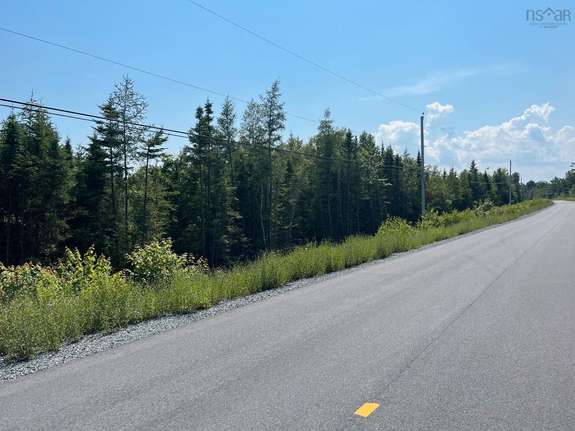 Main Photo: Lot 3 Waterloo Road in Waterloo: 405-Lunenburg County Vacant Land for sale (South Shore)  : MLS®# 202314781