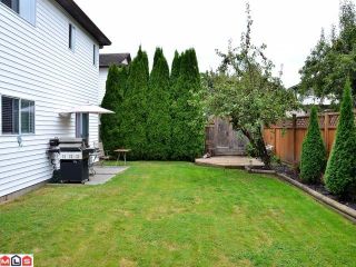 Photo 9: 21240 92ND Avenue in Langley: Walnut Grove House for sale : MLS®# F1123574