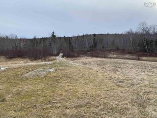 Photo 5: 8080 Marble Mountain Road in Malagawatch: 306-Inverness County / Inverness Vacant Land for sale (Highland Region)  : MLS®# 202221143