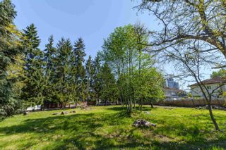 Photo 9: 13003 OLD YALE Road in Surrey: Whalley Land for sale (North Surrey)  : MLS®# R2878633