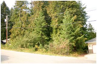 Photo 6: Lot 49 Forest Drive: Blind Bay Vacant Land for sale (Shuswap Lake)  : MLS®# 10217653