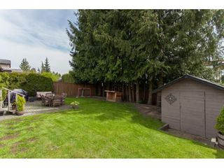 Photo 20: 26550 28B Avenue in Langley: Aldergrove Langley House for sale : MLS®# R2164827