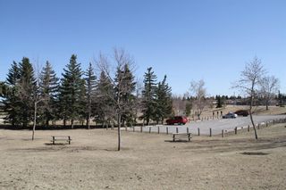 Photo 36: 740 Madeira Drive NE in Calgary: Marlborough Park Detached for sale : MLS®# A1095127