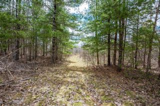 Photo 9: Lot 2021 Central Avenue in Greenwood: Kings County Vacant Land for sale (Annapolis Valley)  : MLS®# 202407909