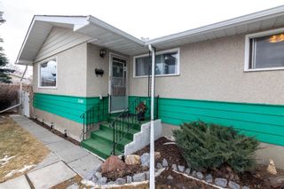 Photo 2: 2103 69 Avenue SE in Calgary: Ogden Detached for sale : MLS®# A1185443