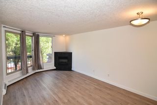 Photo 11: 203 317 19 Avenue SW in Calgary: Mission Apartment for sale : MLS®# A2054344