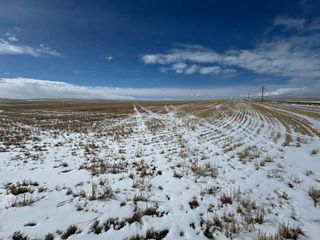Photo 23: Panorama Road in Rural Rocky View County: Rural Rocky View MD Commercial Land for sale : MLS®# A2117580