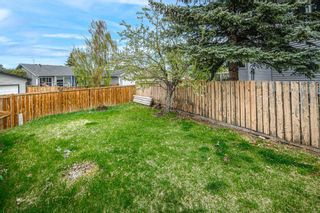 Photo 37: 347 Templevale Place NE in Calgary: Temple Detached for sale : MLS®# A2132443