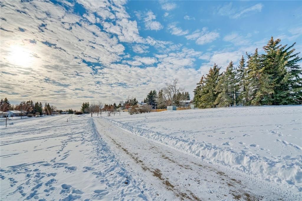 Photo 50: Photos: 936 TRAFFORD Drive NW in Calgary: Thorncliffe Detached for sale : MLS®# C4219404