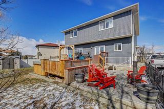 Photo 38: 234 Canoe Square SW: Airdrie Detached for sale : MLS®# A2123343