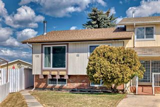 Main Photo: 132 Abalone Place NE in Calgary: Abbeydale Semi Detached (Half Duplex) for sale : MLS®# A2121064