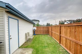 Photo 5: 94 Appleburn Close N in Calgary: Applewood Park Detached for sale : MLS®# A1235940