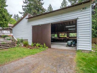 Photo 19: 1249 ROBERTS CREEK ROAD in Sechelt: Roberts Creek House for sale (Sunshine Coast)  : MLS®# R2267068