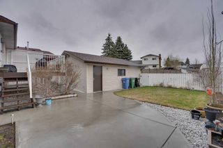 Photo 45: 51 Templehill Drive NE in Calgary: Temple Detached for sale : MLS®# A2128076