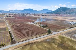 Photo 4: 34659 TOWNSHIPLINE Road in Abbotsford: Matsqui Agri-Business for sale : MLS®# C8057829