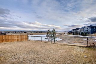 Photo 43: 219 LAKEPOINTE Drive: Chestermere Detached for sale : MLS®# A1183995