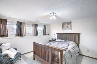 Photo 27: 52 Maple Court Crescent SE in Calgary: Maple Ridge Detached for sale : MLS®# A1092001