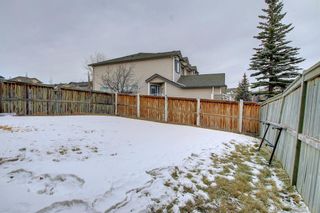 Photo 39: 6 Citadel Estates Heights NW in Calgary: Citadel Detached for sale : MLS®# A1175507