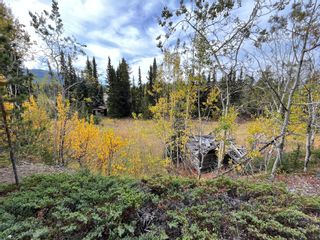 Photo 56: DL 1135 SPRUCE CREEK: Atlin House for sale (Iskut to Atlin)  : MLS®# R2813376