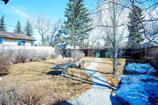 Photo 4: 4652 80 Street NW in Calgary: Bowness Detached for sale : MLS®# A2022100