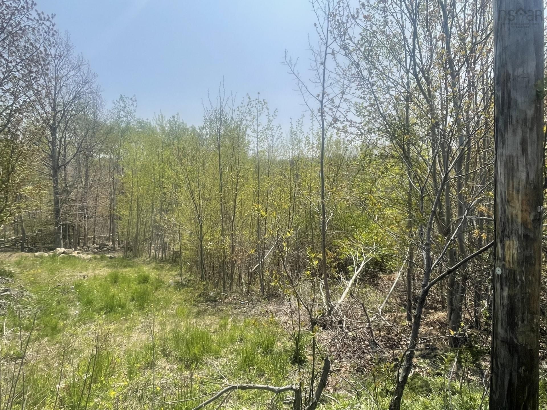 Main Photo: . Ninth Extension in Trenton: 107-Trenton, Westville, Pictou Vacant Land for sale (Northern Region)  : MLS®# 202218203