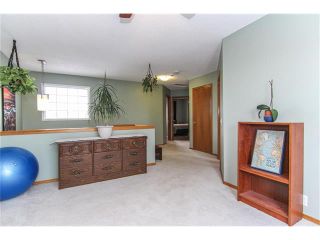 Photo 17: 9177 21 Street SE in Calgary: Riverbend House for sale : MLS®# C4096367