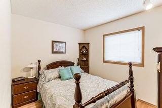 Photo 29: 193 Shawfield Road SW in Calgary: Shawnessy Detached for sale : MLS®# A1216232
