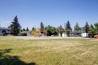 Photo 44: 39 Cedar Ridge Place SW in Calgary: Cedarbrae Detached for sale : MLS®# A1244345