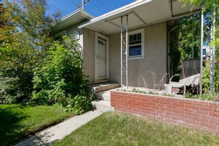 Photo 9: 3841 1 Street SW in Calgary: Parkhill Detached for sale : MLS®# A1246130
