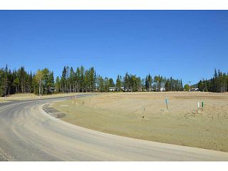 Photo 6: LOT 14 BELL Place in Mackenzie: Mackenzie -Town Land for sale in "BELL PLACE" : MLS®# N227307