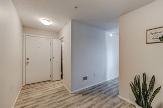 Photo 30: 3202 4641 128 Avenue NE in Calgary: Skyview Ranch Apartment for sale : MLS®# A2018423