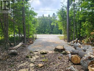 Photo 8: N/A Hwy 542 in Mindemoya: Vacant Land for sale : MLS®# 2112599