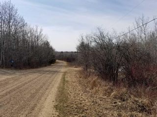 Photo 5: Lakeview Drive: Rural Camrose County Residential Land for sale : MLS®# A2129369